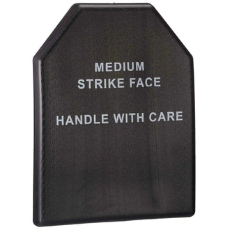 Trainingsplatte SAPI Dummy Plate