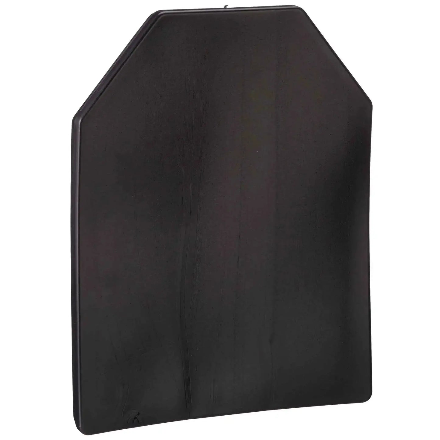 pirate-arms-trainingsplatte-sapi-dummy-plate-ansicht-2