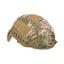 Multicam