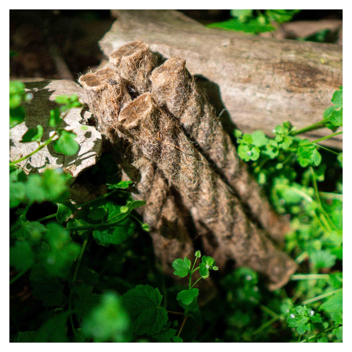 Cuerda de cáñamo FAT Cuerda naturaleza