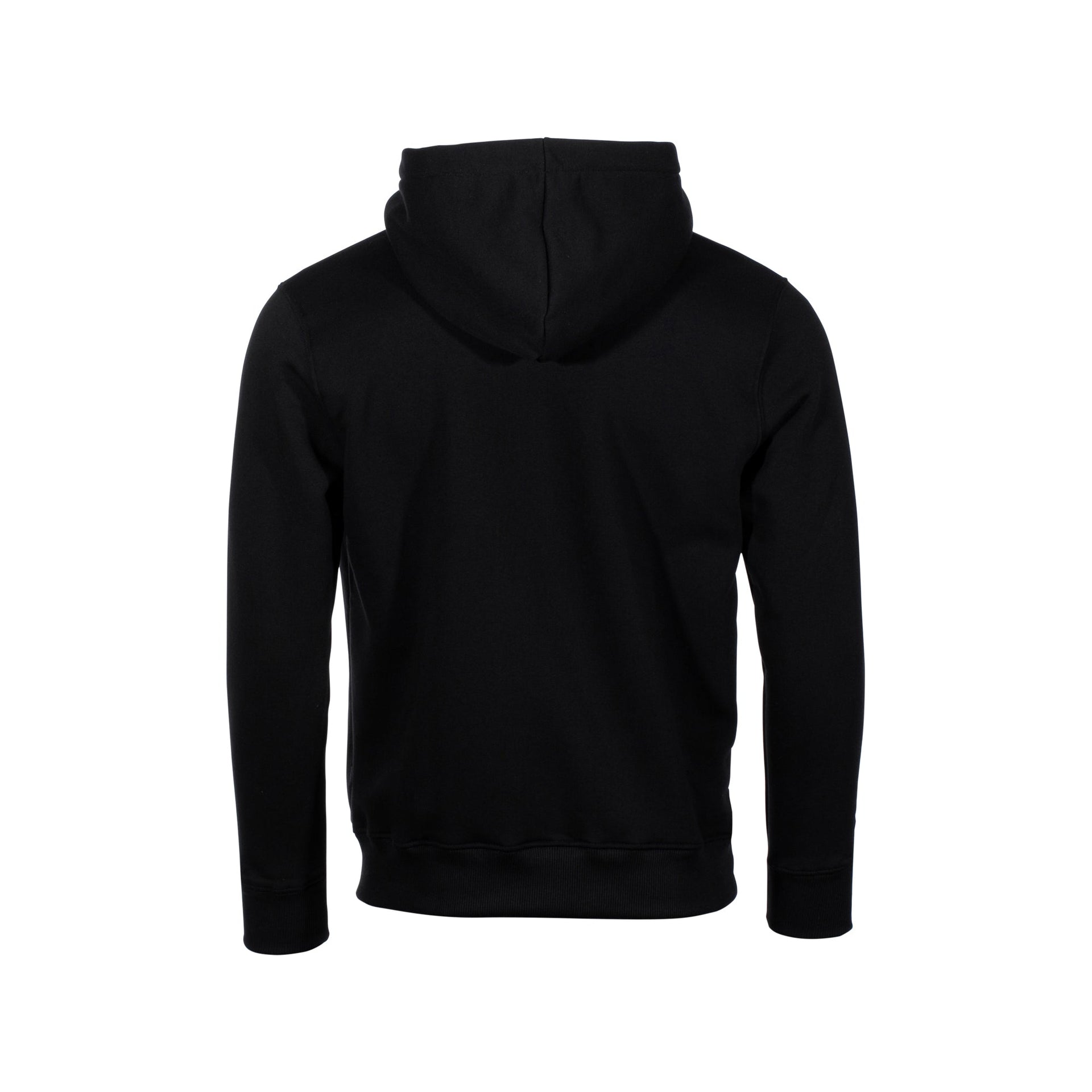 Hoodie Basic Carbon  silver