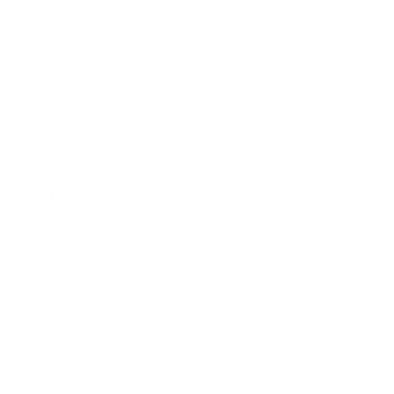 Disc-O-Bed