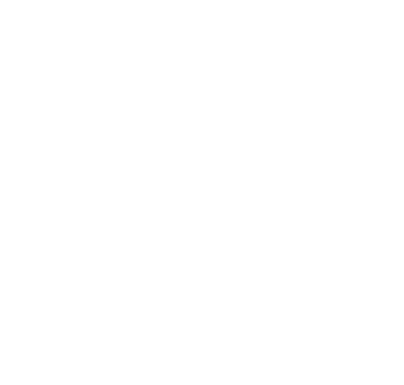 GK Professional