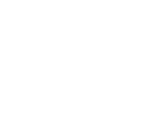 Hoppe's 9