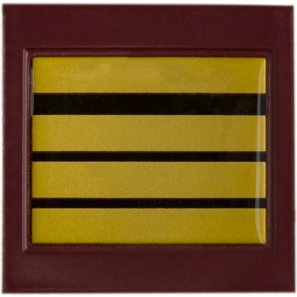 Rank Insignia of the French Medical Service Commandant