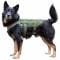 Primal Gear Tactical Dog Vest olive