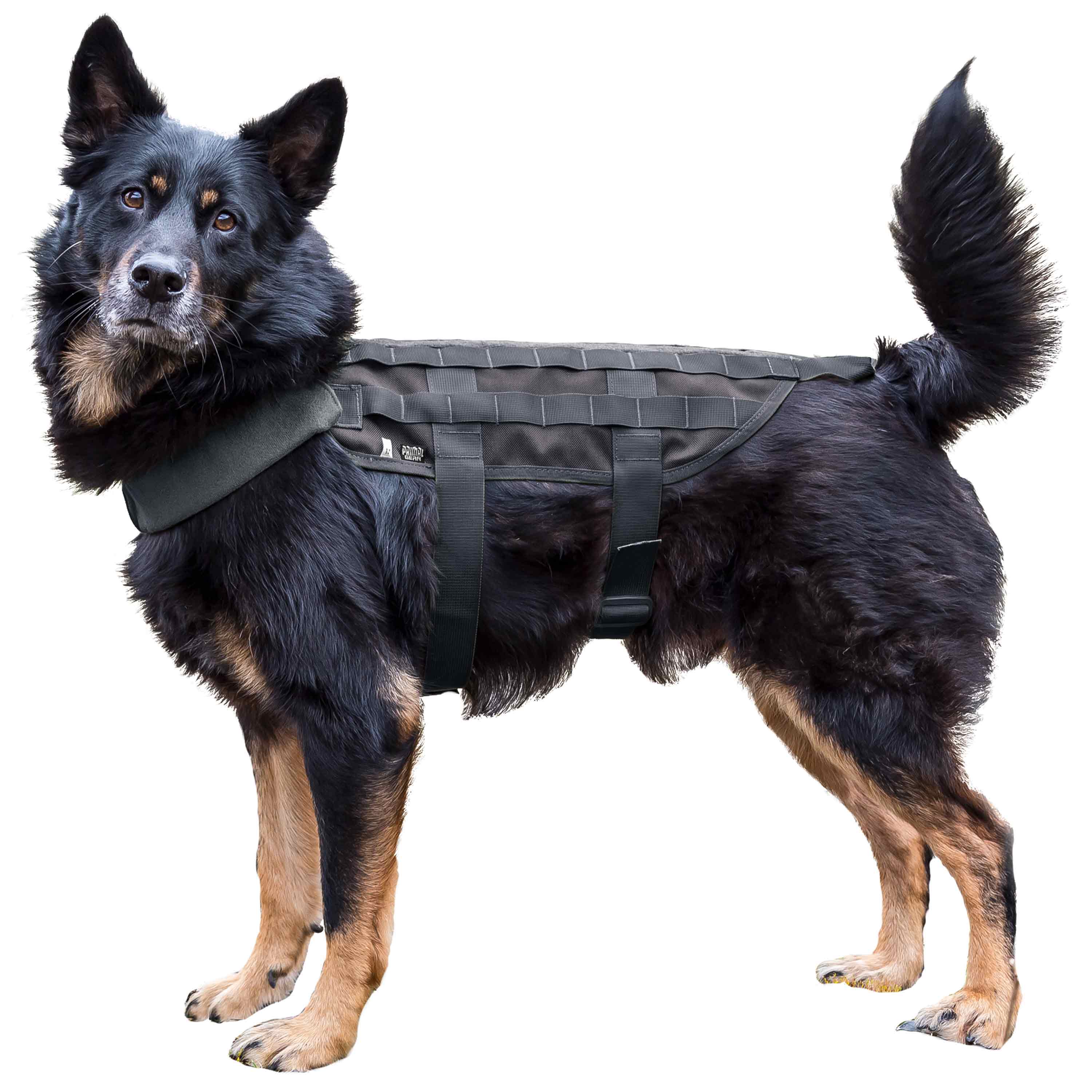 Primal Gear Tactical Dog Vest black | Primal Gear Tactical Dog Vest ...