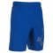 Under Armour Fitness Short Woven Graphic blue
