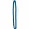 German Shoulder Cord blue (non-commissioned officer on duty)