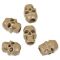 Cord Stoppers Skull coyote