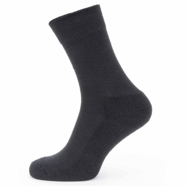 Sealskinz Socks Solo Merino black