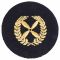 NVA Career Badge VM Fliegerkräfte blue