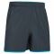 Under Armour Short Qualifier 5 In. Woven gray/blue