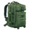 Backpack Maxpedition Falcon II olive