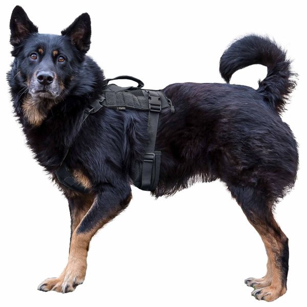 Primal Gear Tactical Dog Harness black