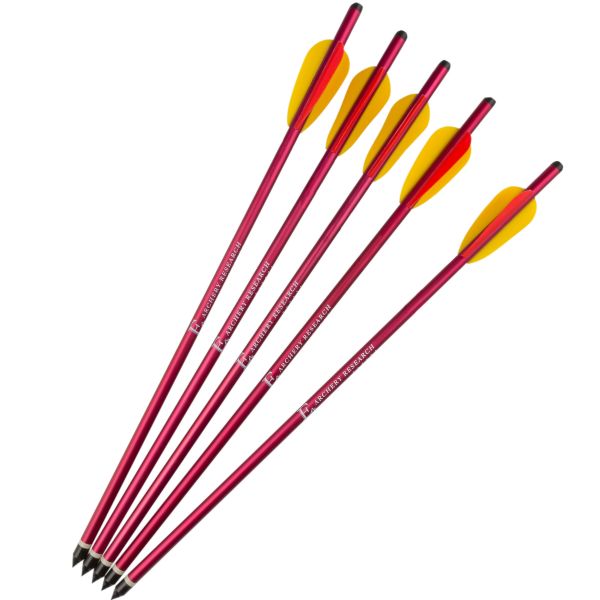EK Archery Arrows 2219 20" 5-Pack blue