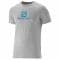 T-Shirt Salomon Cotton Tee gray