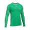 Under Armour Fitness Threadborne Seamless Long Arm Shirt green/g