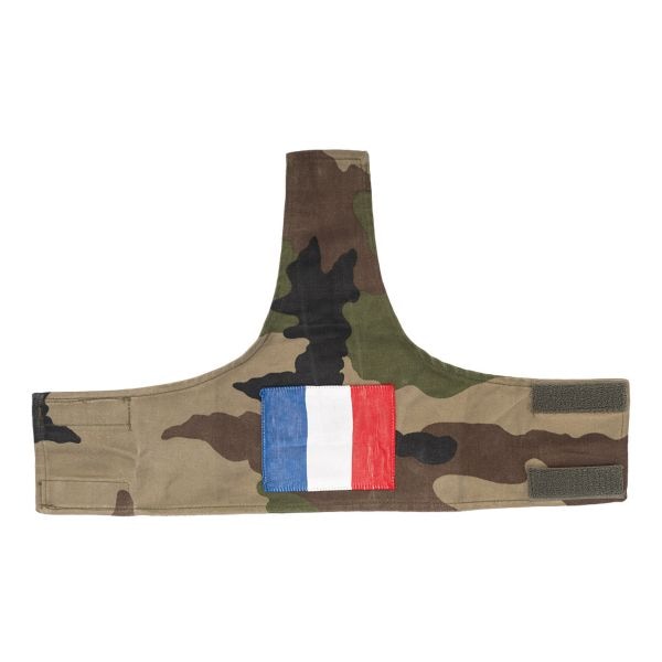 French Arm Office with Flag CCE Camo Used