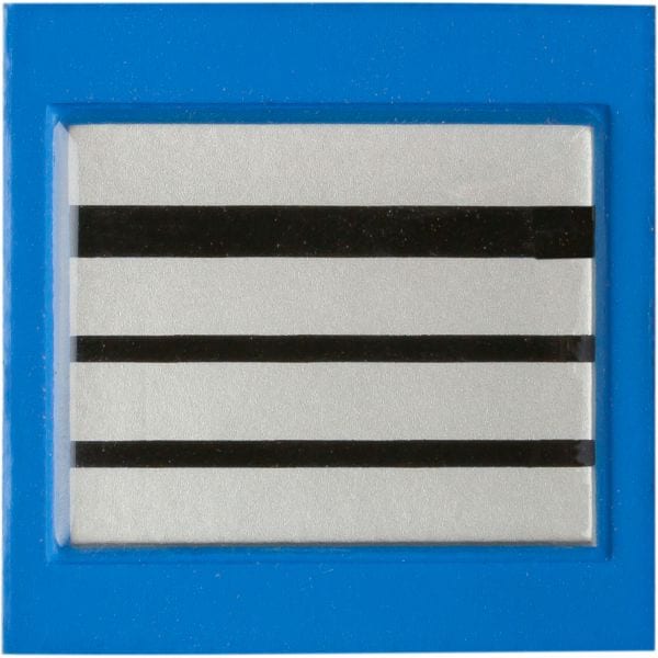Rank Insignia of the French Police Directeur Police municipale