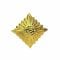 NVA Rank Insignia Star gold