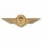 German Insignia Airborne Personnel gold