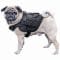 Primal Gear Light Dog Harness black
