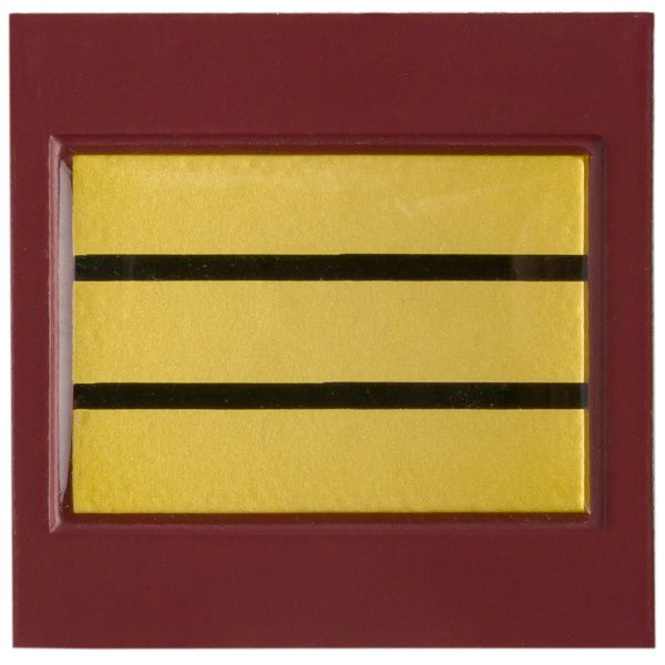 Rank Insignia of the French Medical Service Capitain