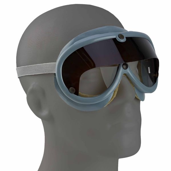 Used BW Dust Goggles