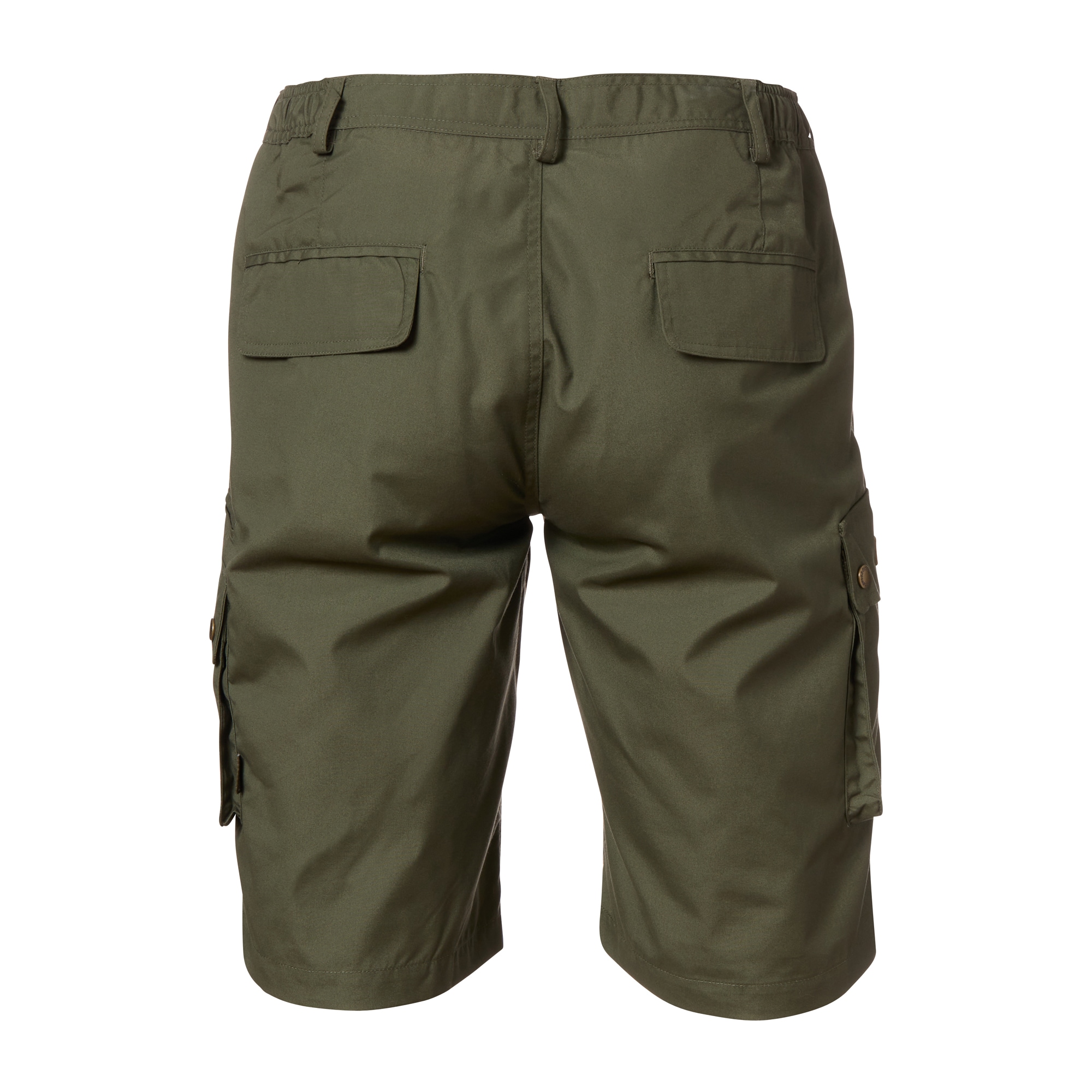 Purchase the Pinewood Shorts Finnveden Wildmark green by ASMC