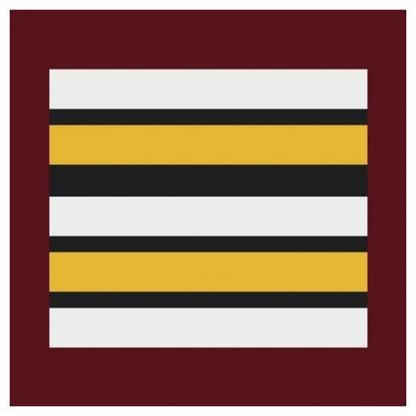Rank Insignia of the French Medical Veterinarian Service LT-Colo