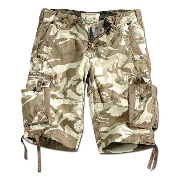 Purchase the Alpha Industries Shorts Terminal C desert camo by A