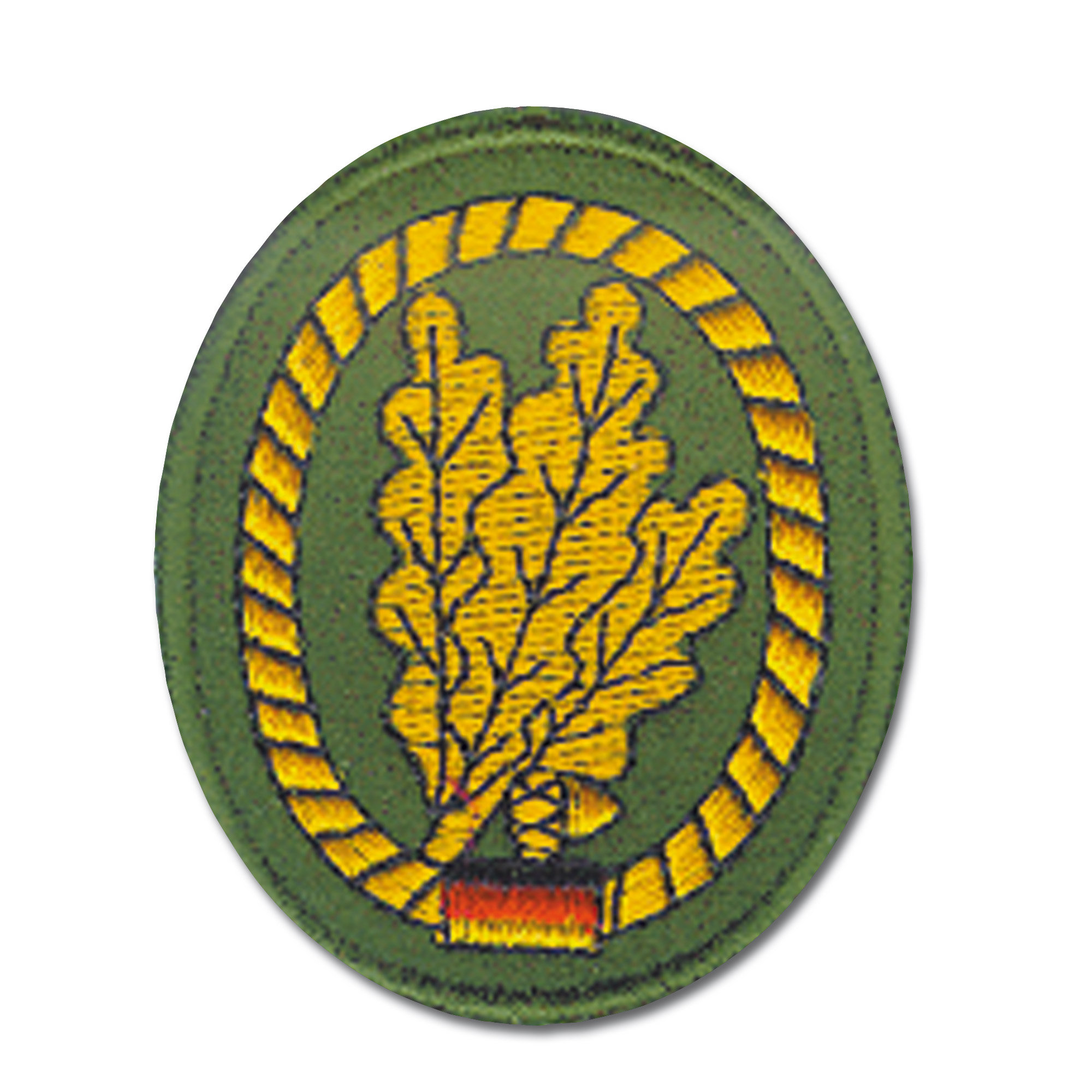 T006 - Badges Das Jägertruppe PDF, PDF, Divisão (militar)