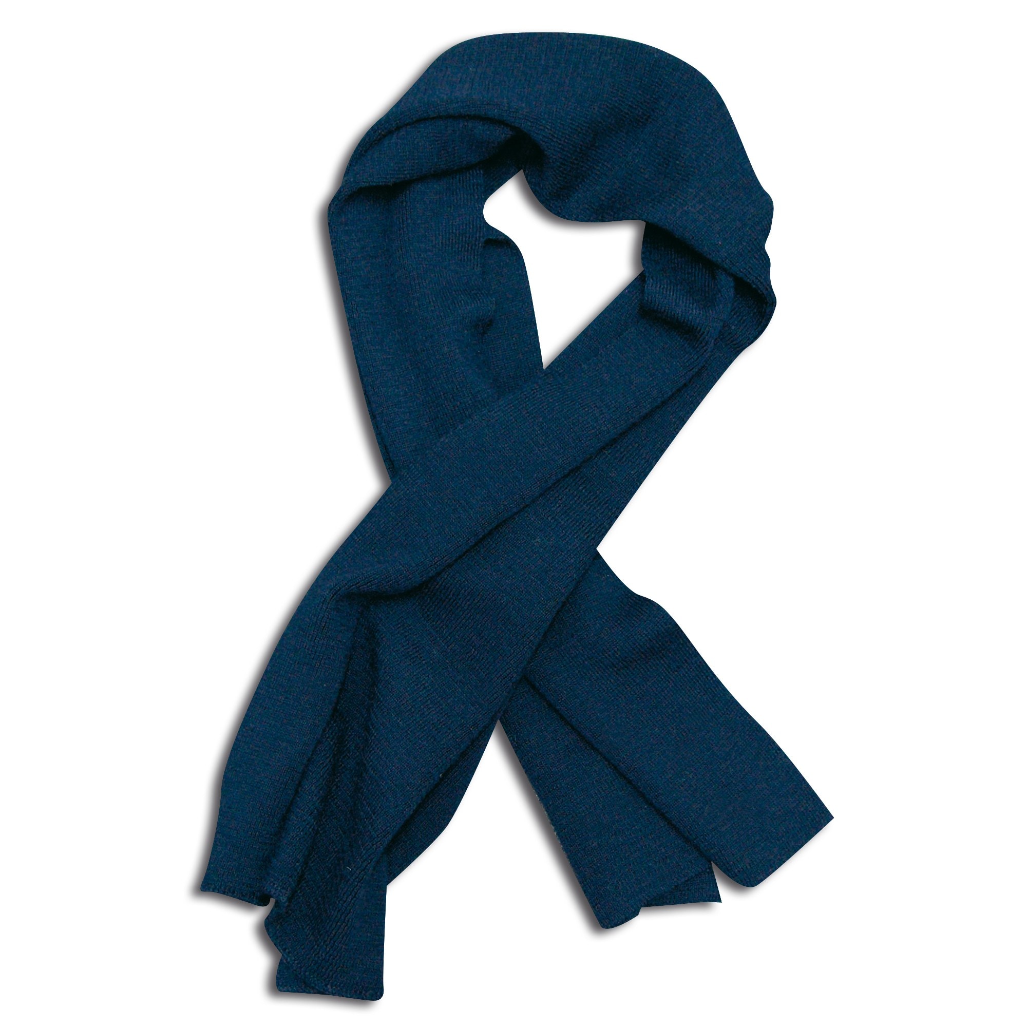 Scarf Blue with Pointers 