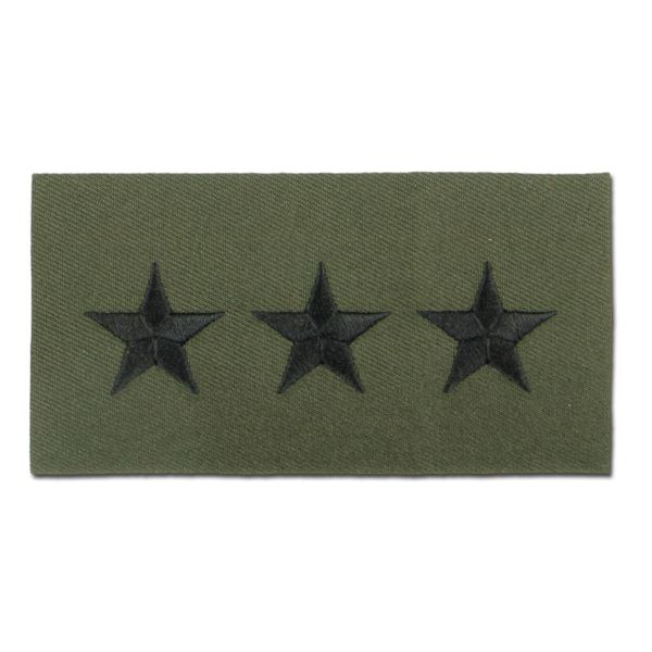 Rank Insignia U.S. Embroidered Lt. General