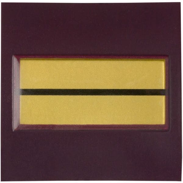 Rank Insignia of the French Medical Service Infirmier-Chef