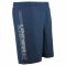 Under Armour Shorts Woven Graphic Wordmark blue