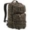 Backpack US Assault Pack digital woodland